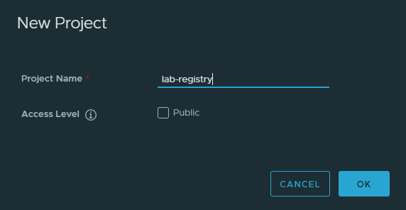 Window gathering information on the project name and public/private permissions.